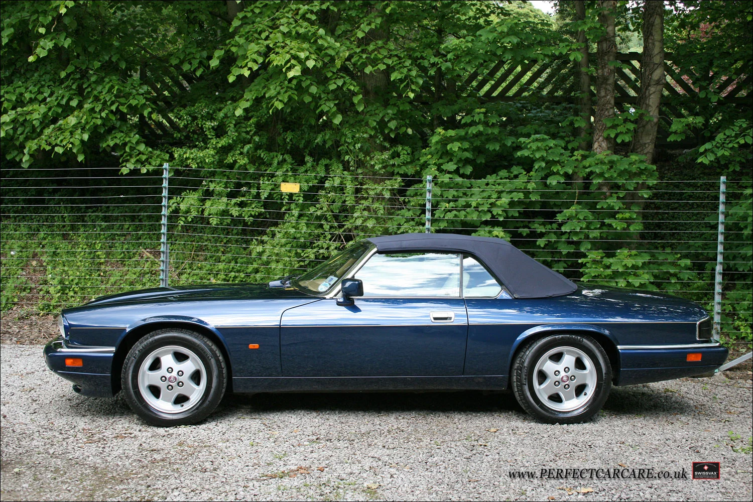 Jaguar XJS - Paintwork Correction Detail