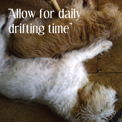 daily-drifting-time.png