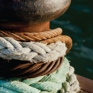 Finding the Common Thread