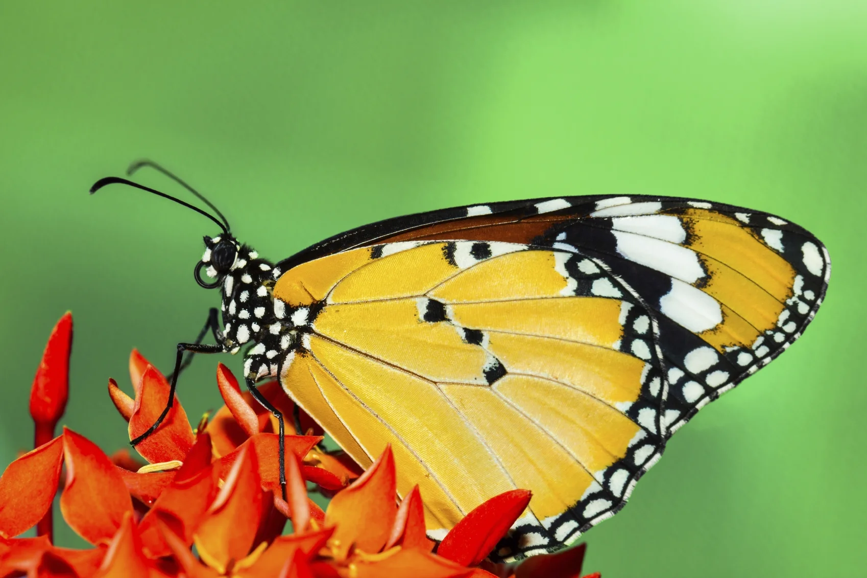 Is Self-Doubt Getting the Better of You?