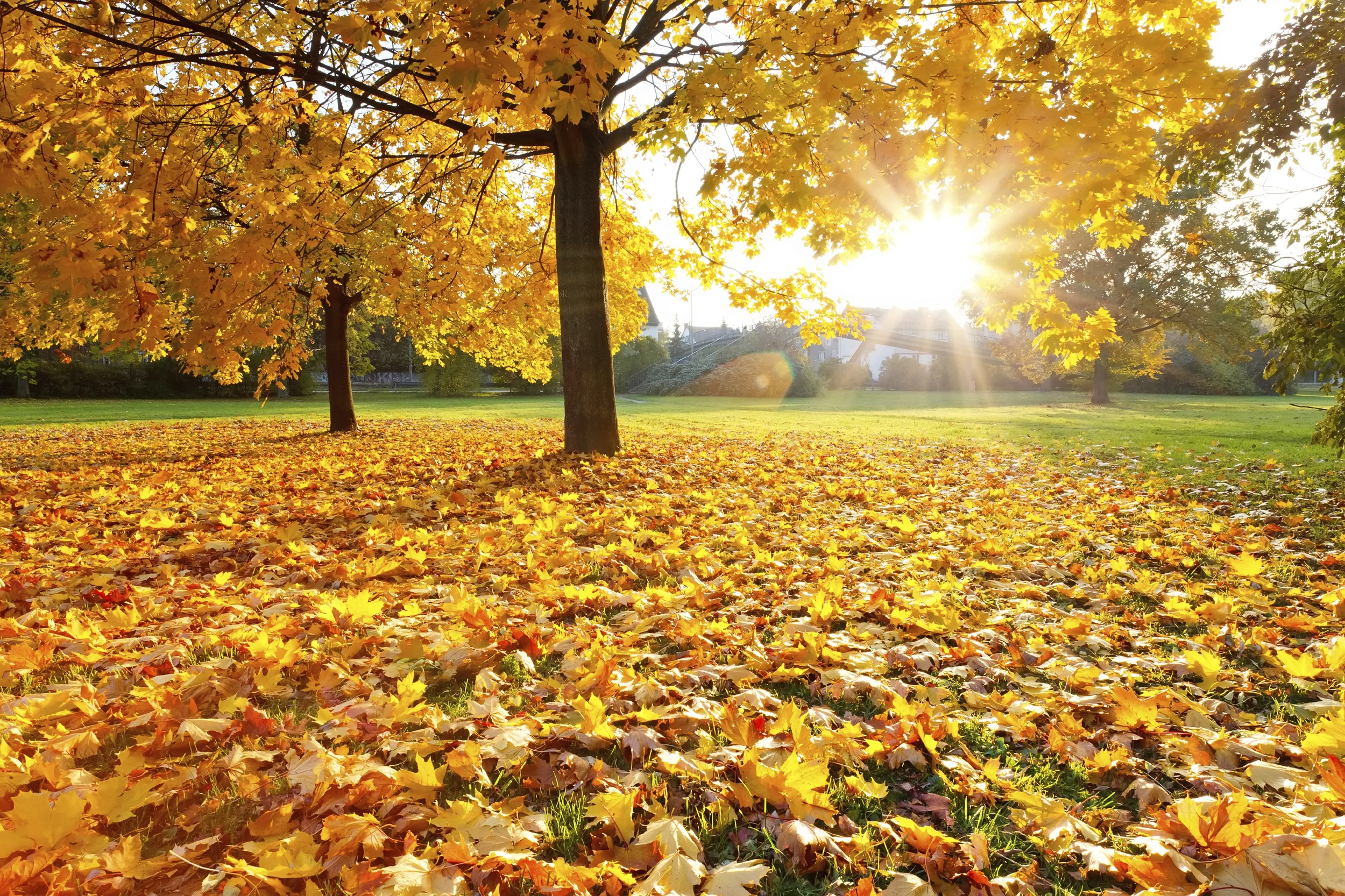 How to Address your Child’s Fear of Death and Dying