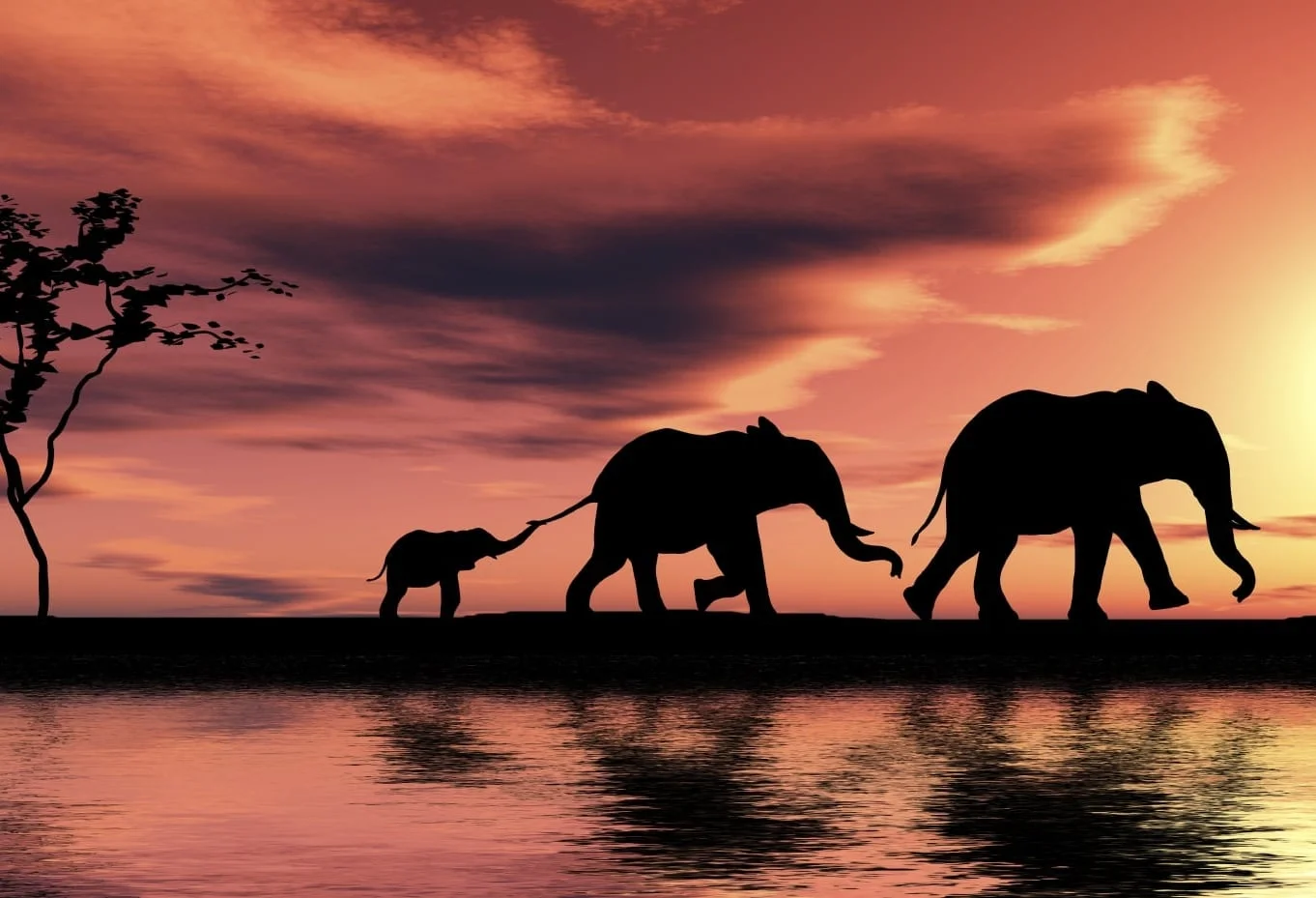 How to connect with your inner voice