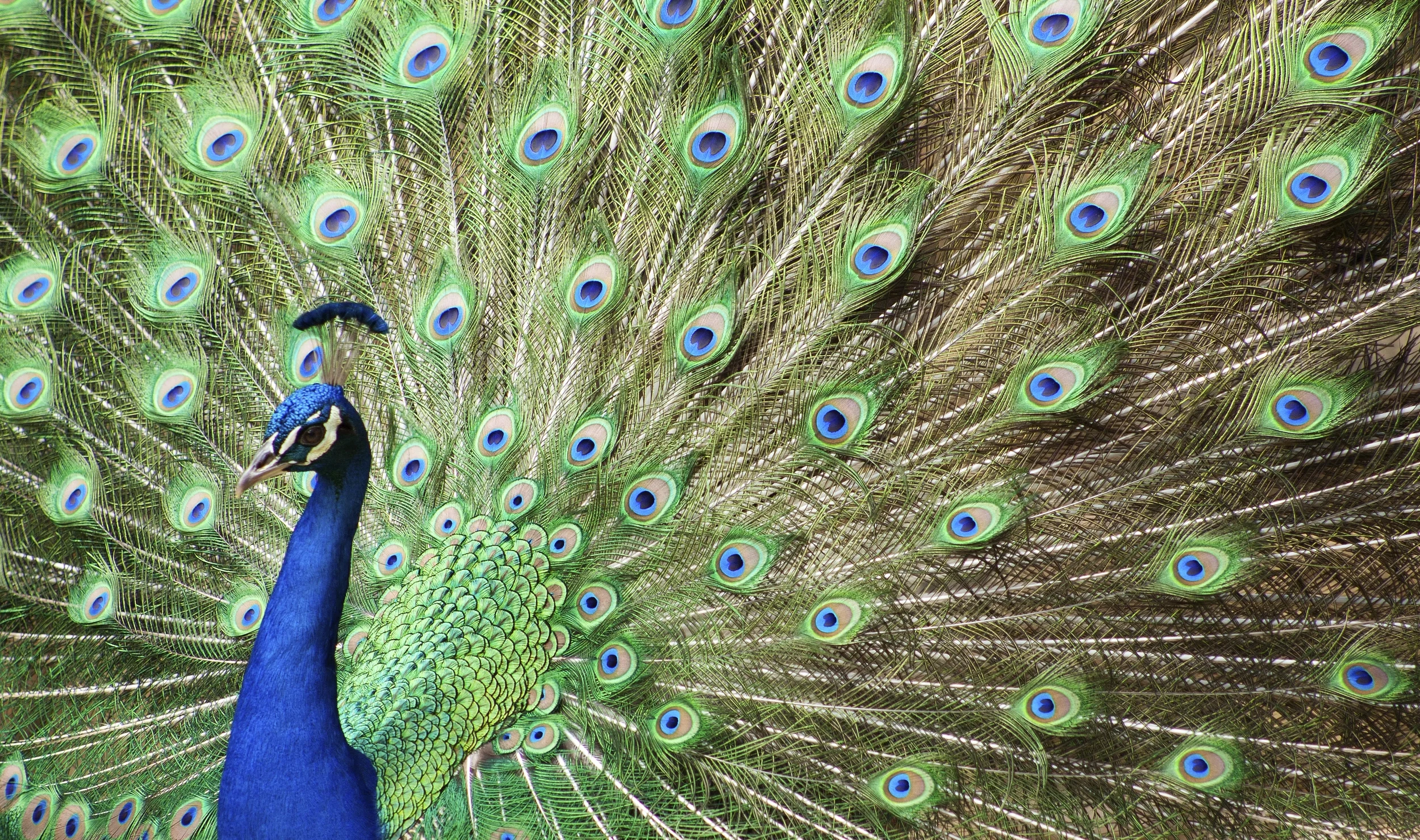 Dear Renée: How do I help a dyslexic child regulate their emotions?