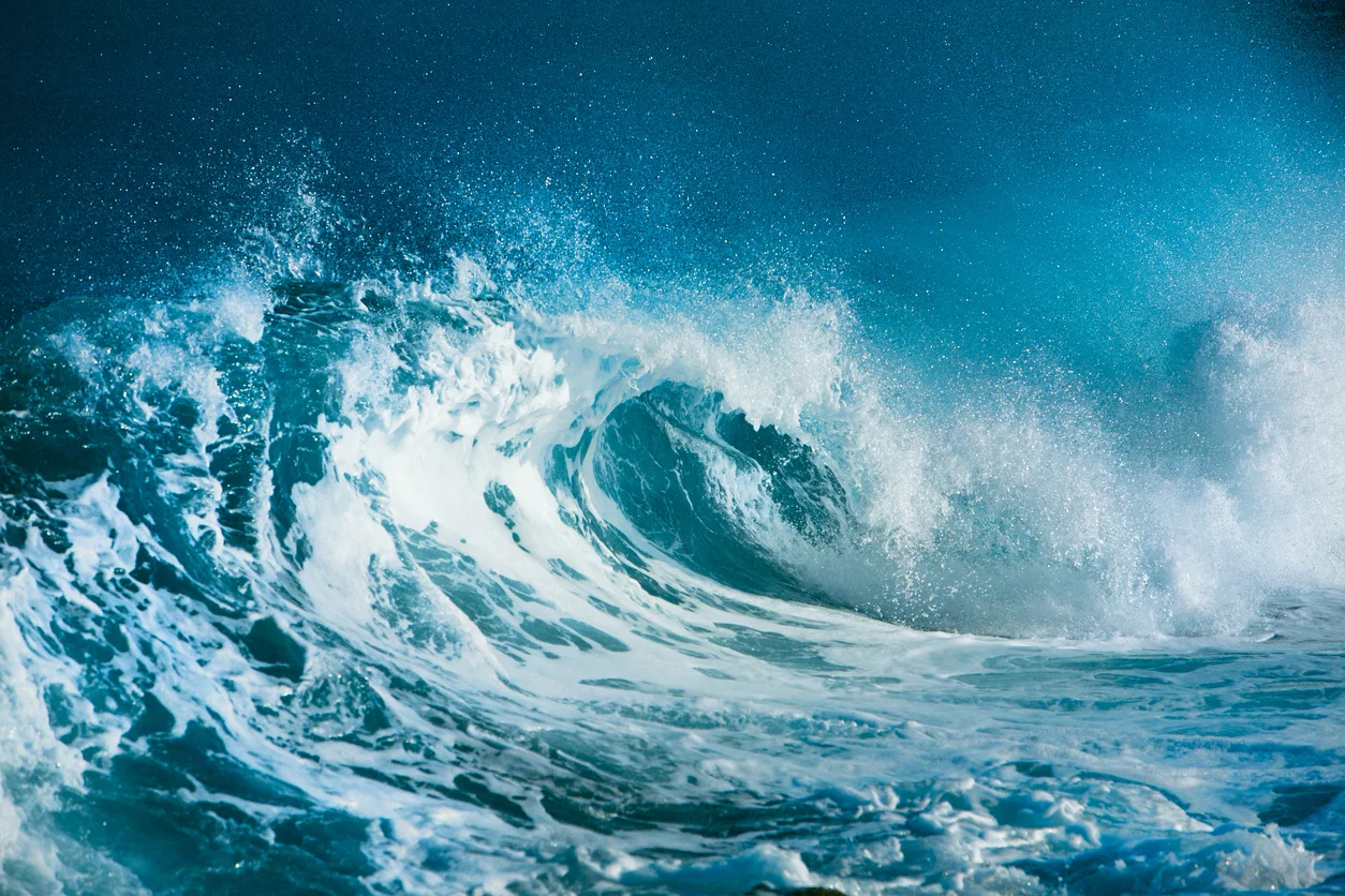 iStock-155664982.jpg