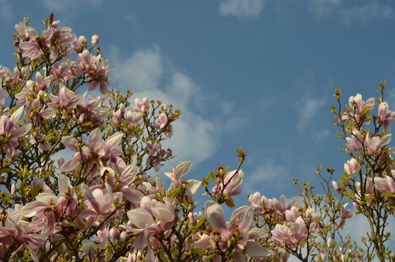 DSC_0151.jpeg