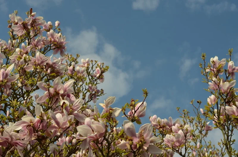 5 things a psychotherapist wants you to know