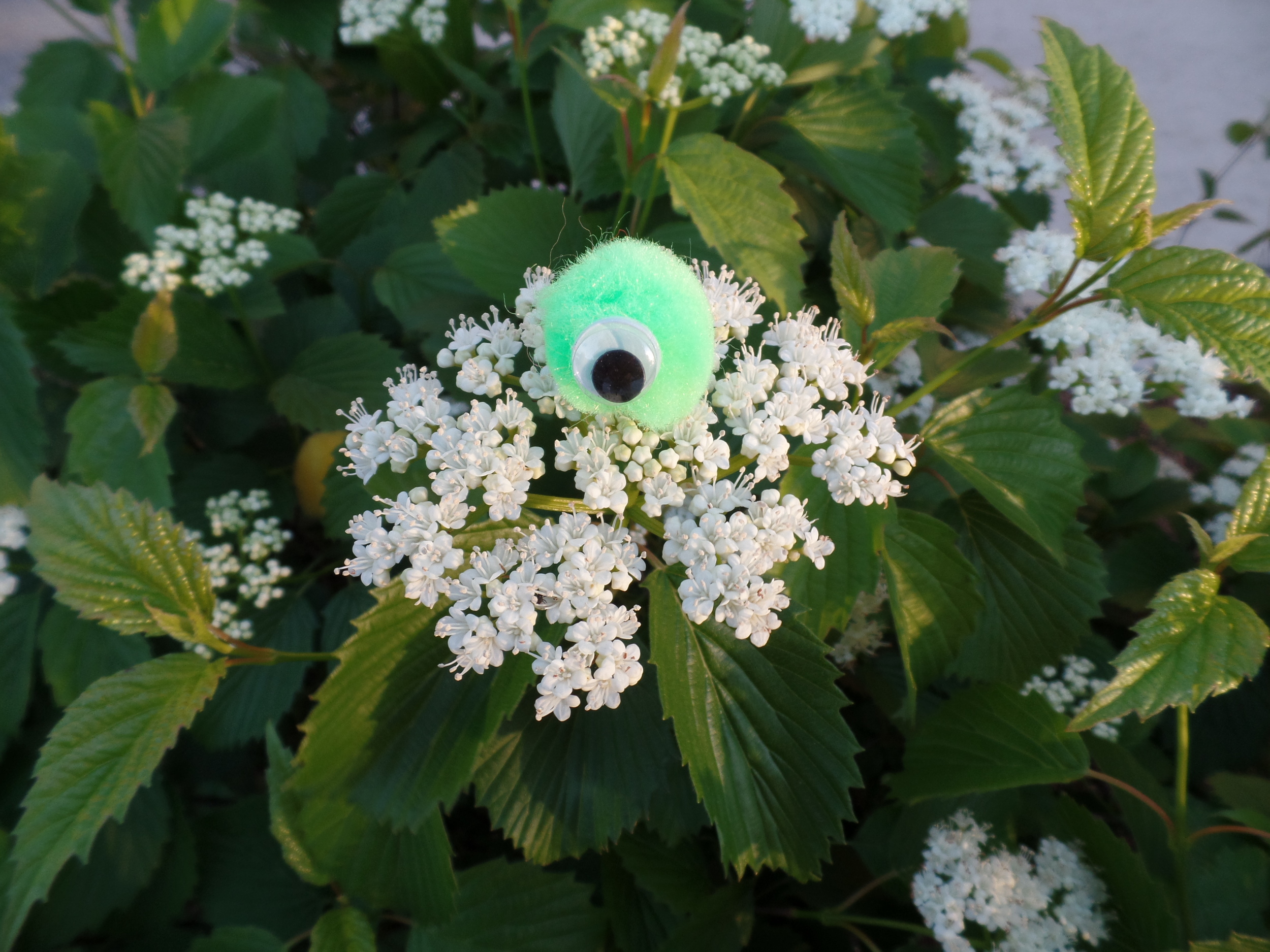 Episode 1 - Maybe Five Minutes is Ambitious // Tony Melville