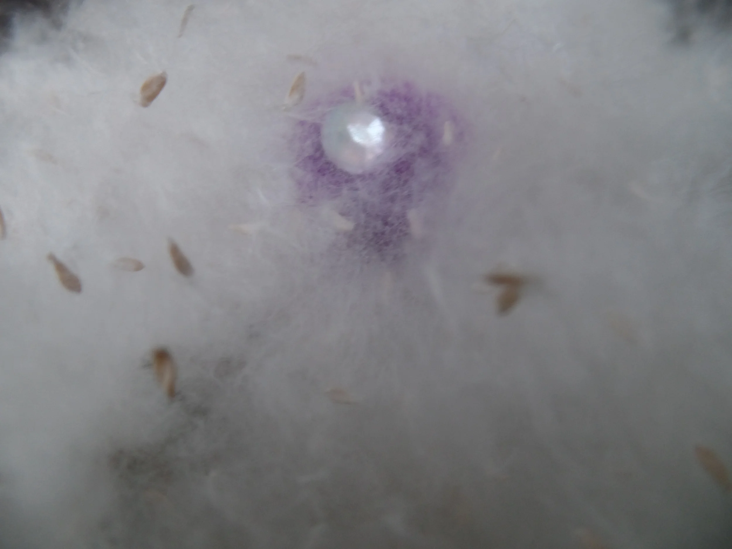 Episode 11 - I Save All My Receipts // Super Thing & Group Therapy