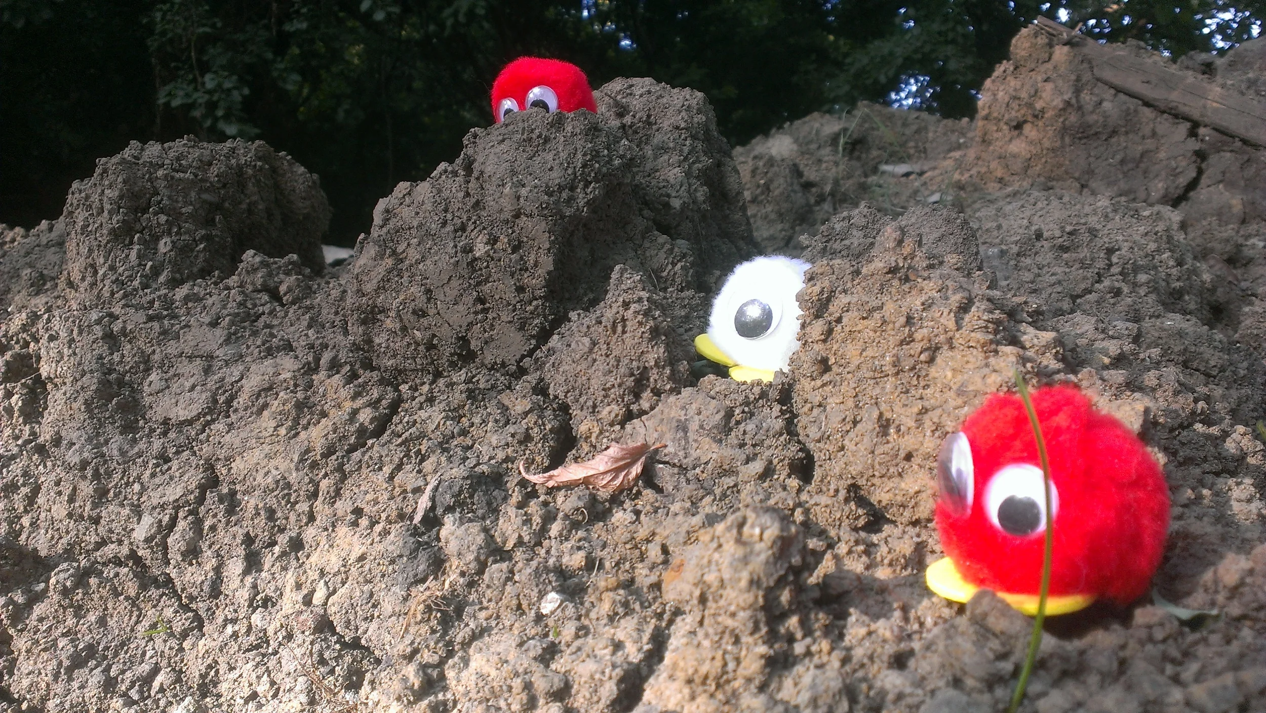 Episode 15 - Shout Out To // Nick Martin