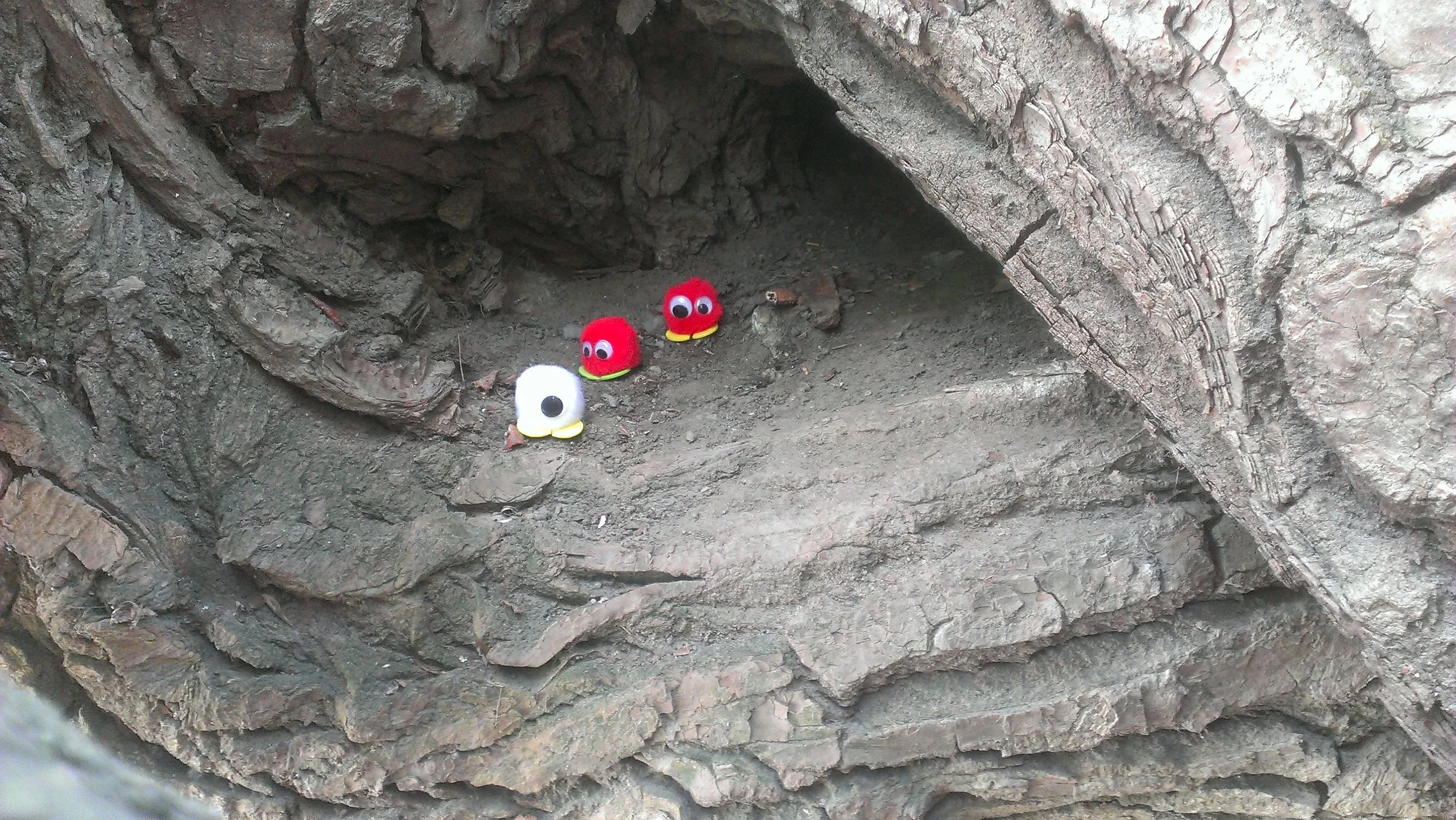 Episode 16 - Books Read Themselves// Dylan Nelson