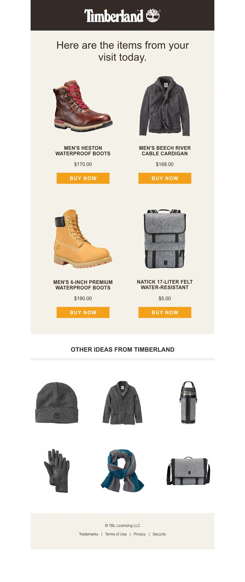 Timberland Email.001.jpeg