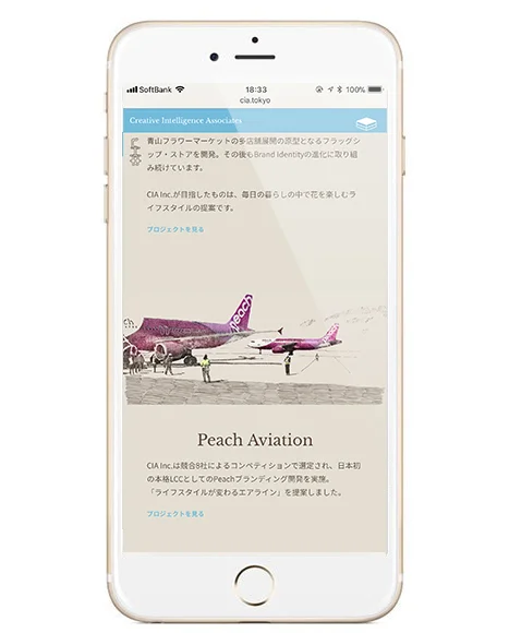 ciaweb7.jpg