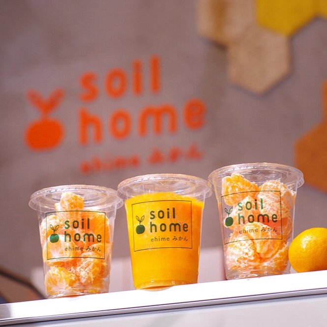 soil home (Art Direction & Logo)