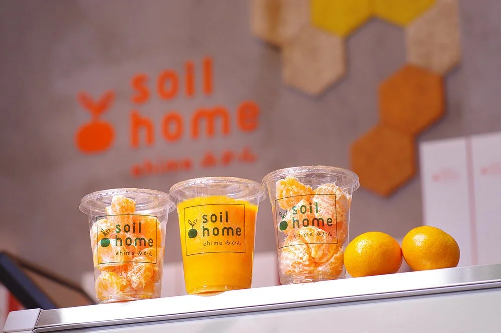 soil+home.jpeg