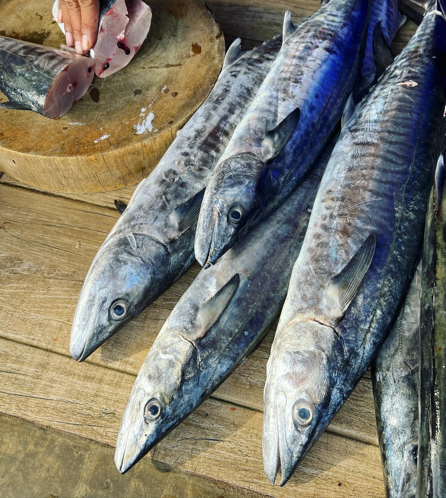 Holy Mackerel! The fish were fresh (and delicious) on Koh Tao (a small island in Thailand).
.
.

#kohtao #thailand #foodstagram #eatingfortheinsta #fish #streetfood #mackerel #freshfish