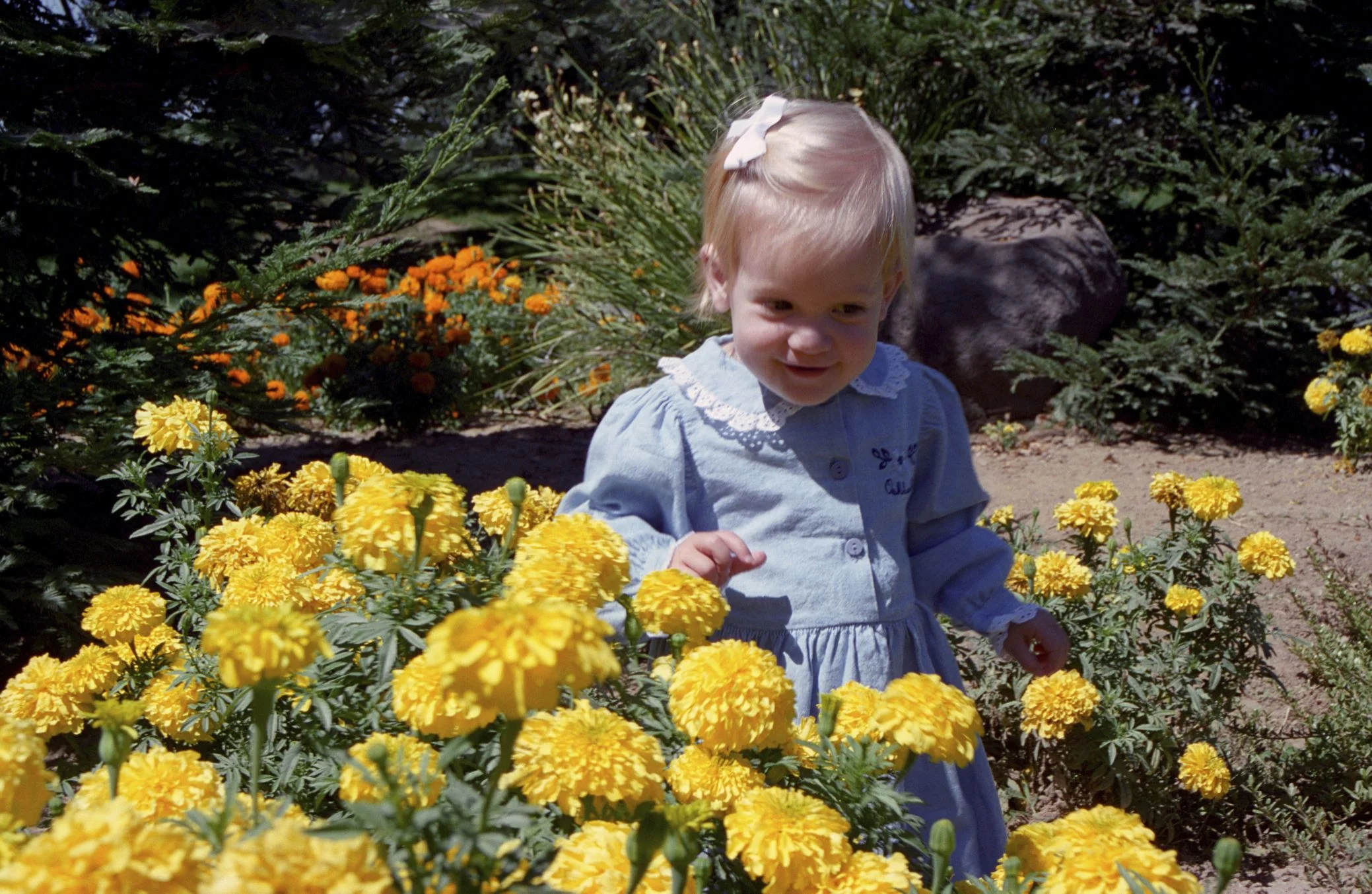 02157_n_9ae56jsx41448.jpg