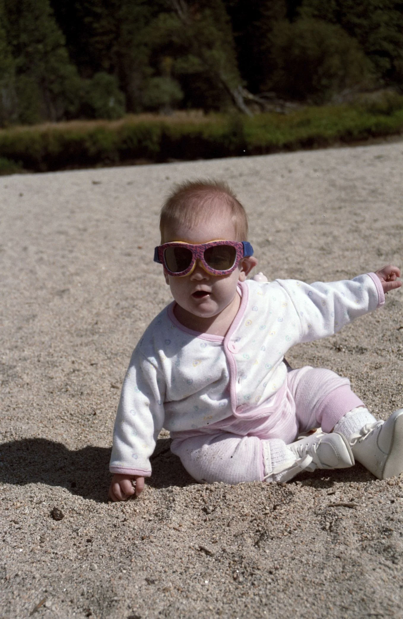 02195_n_9ae56jsx41467.jpg
