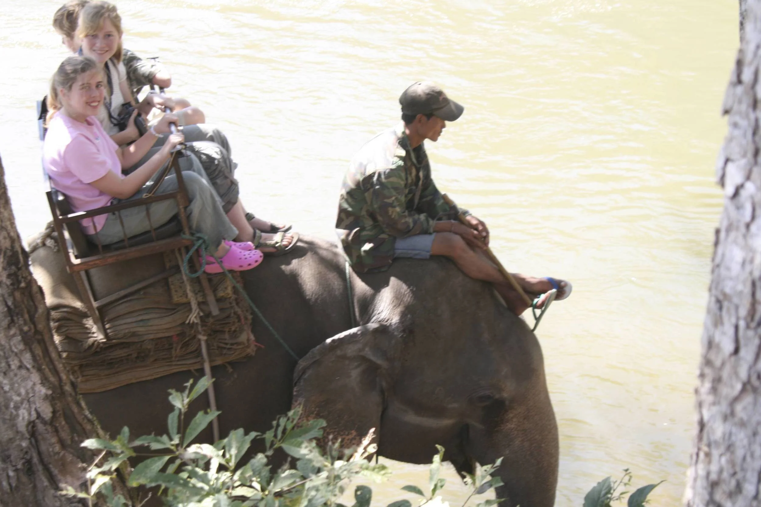 2008-01-Elephants 132.jpg