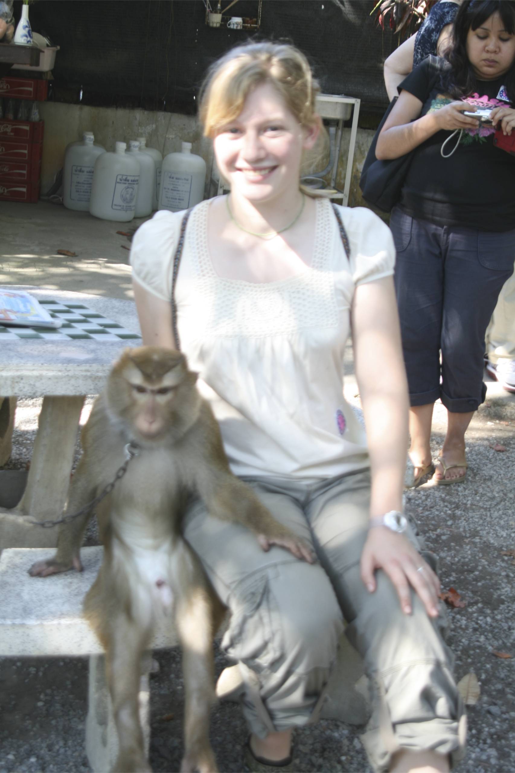 2008-01-Monkeys 31.jpg