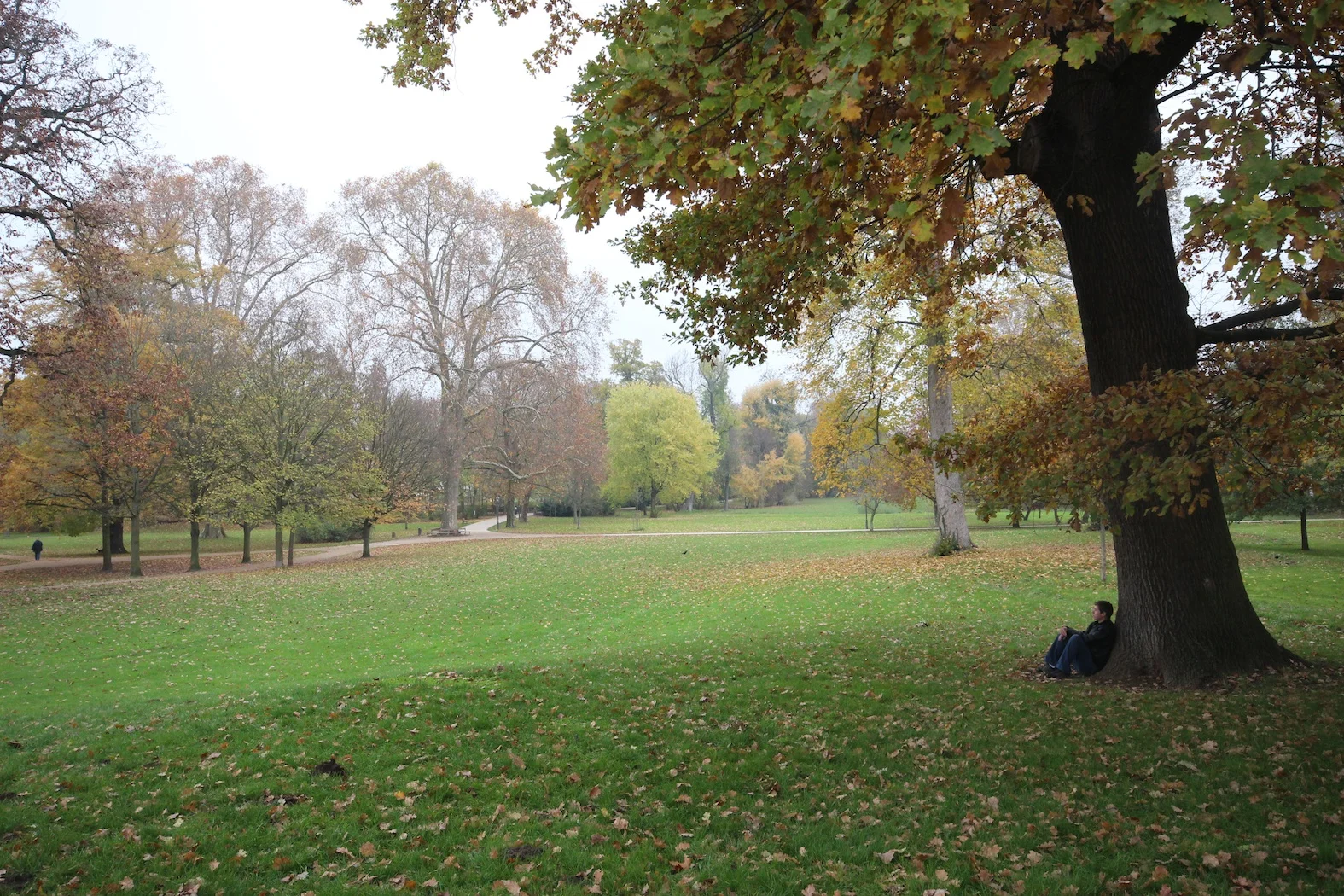 Wiesbaden 6.jpg