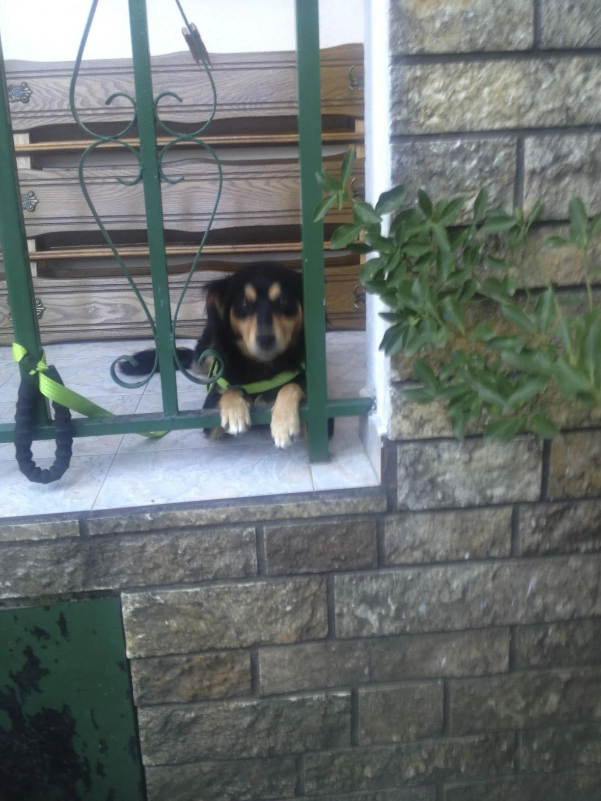 2013.09-AlbLife 41.jpg