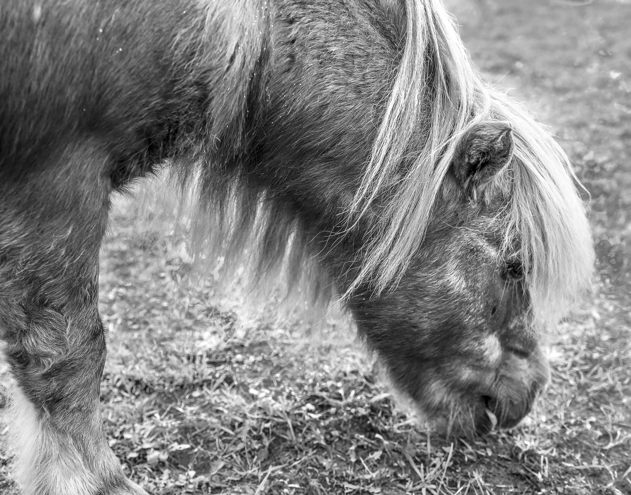 Abandonded Detroit (2 of 6).jpg