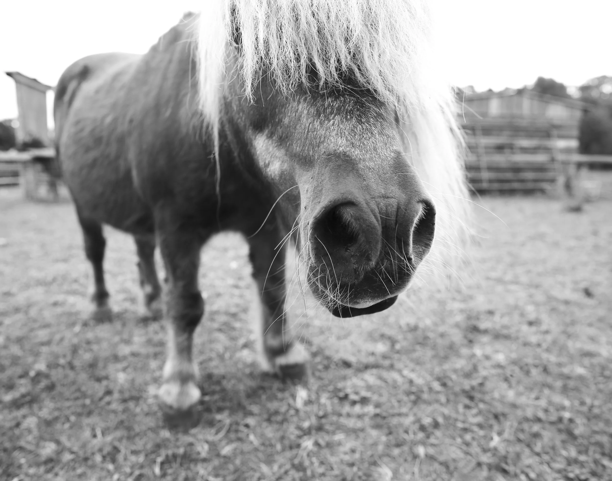 Abandonded Detroit (4 of 6).jpg
