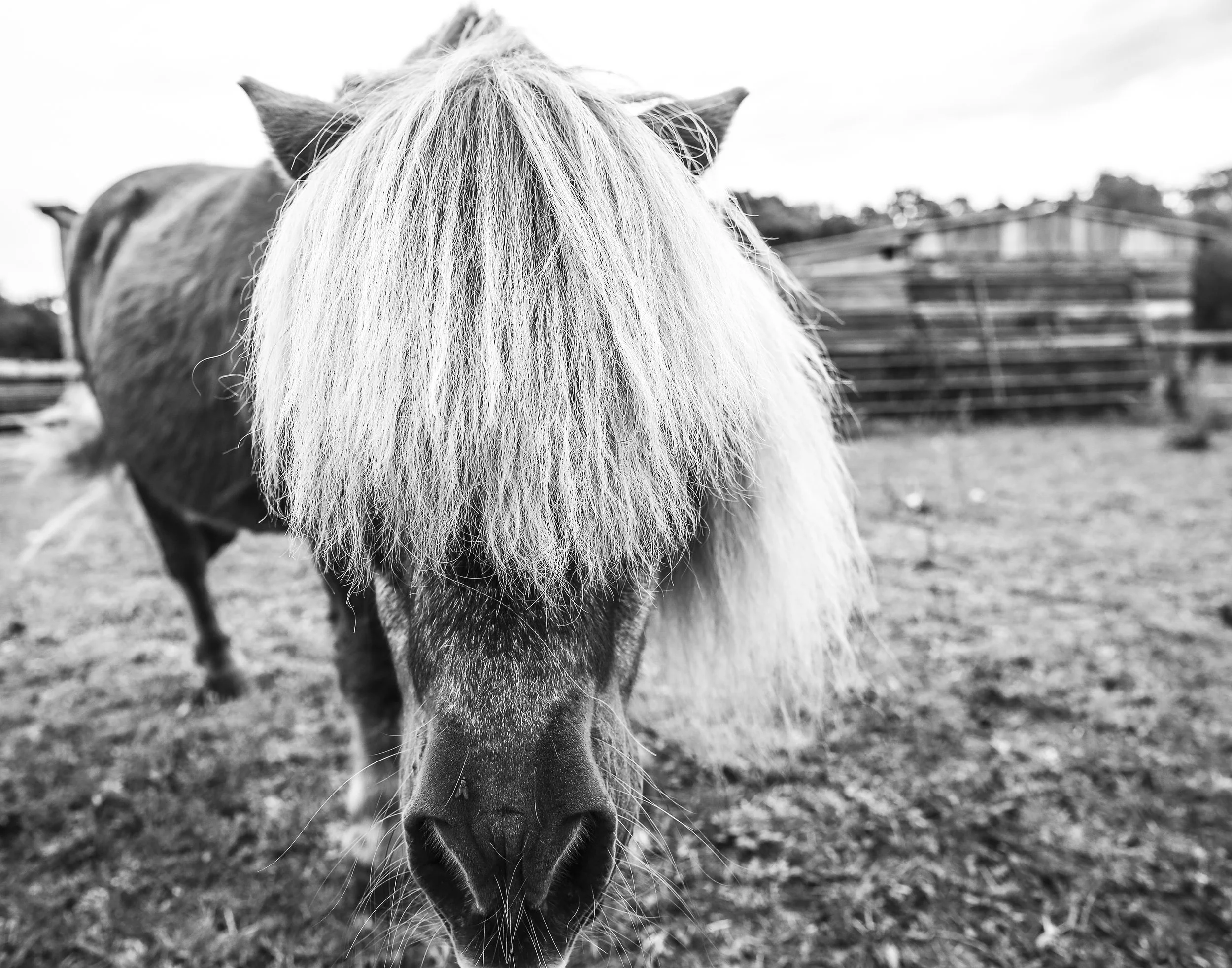 Abandonded Detroit (5 of 6).jpg