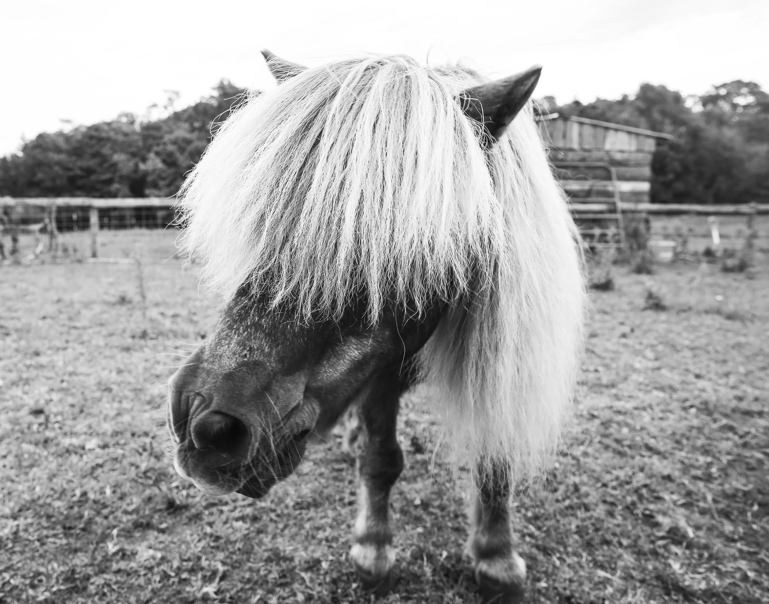 Abandonded Detroit (6 of 6).jpg
