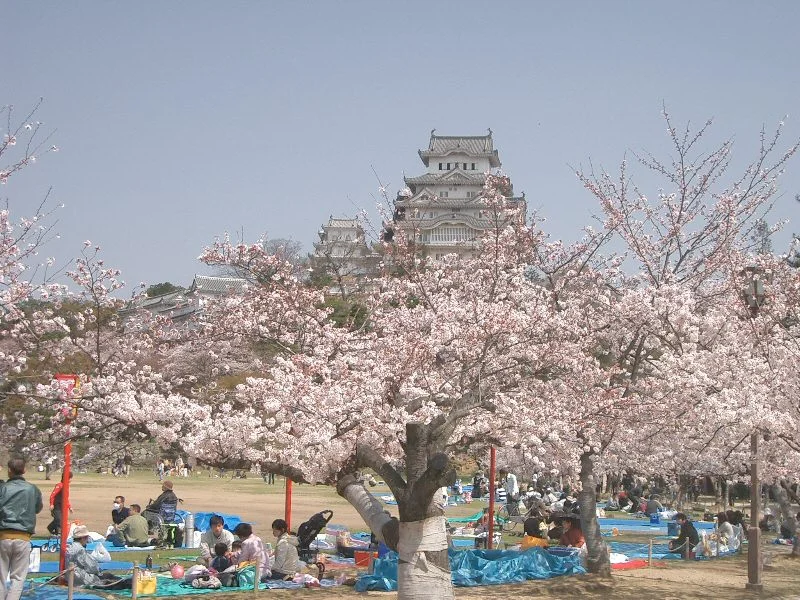 Himeji Castle Hanami via Wikipedia