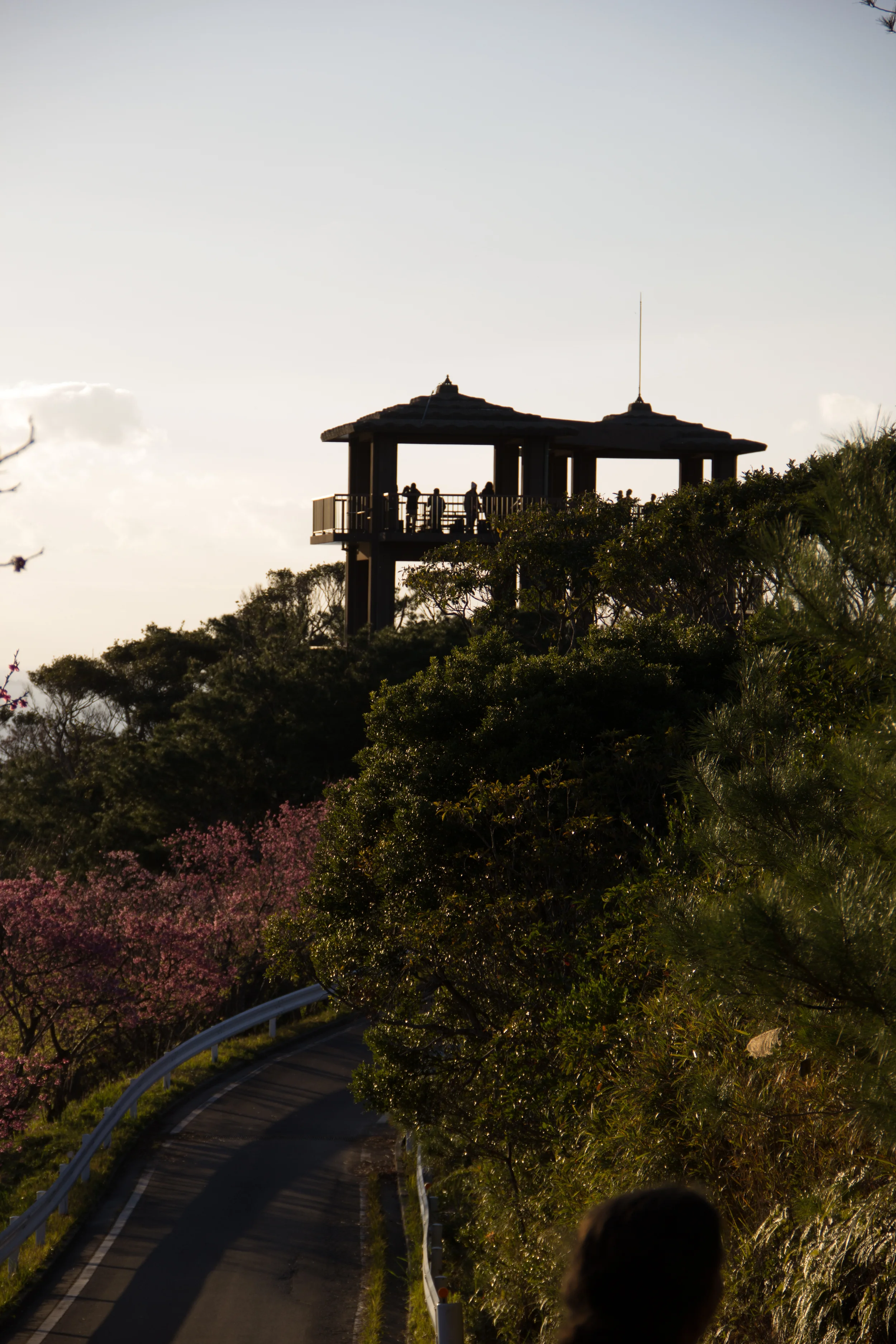 The Lookout/Viewing area, with alot of benches and tables.
