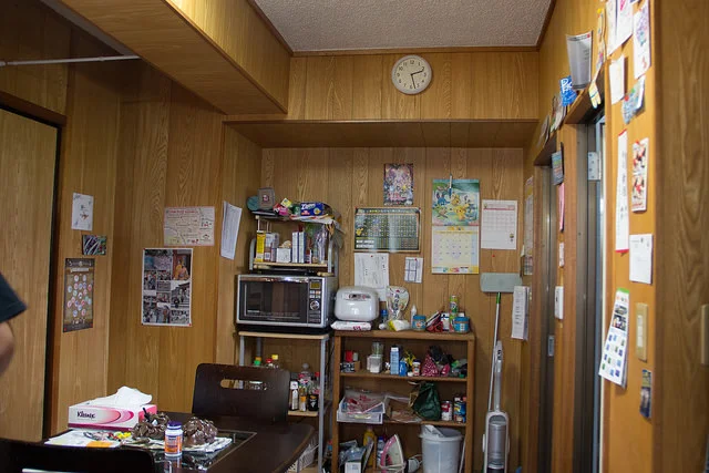 The famous LDK: Living, dining, kitchen. From here you can only see the "LD" part.