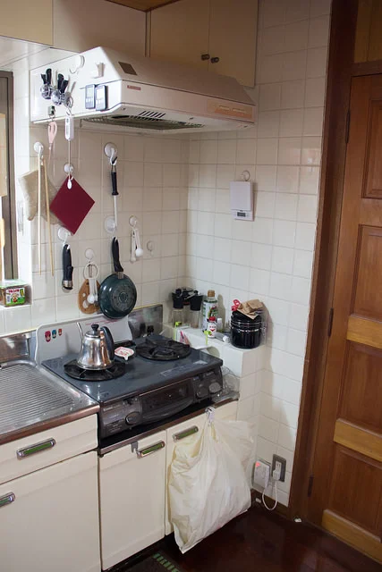 Portable gas stove and strategic hooks where we keep things we have no room for.