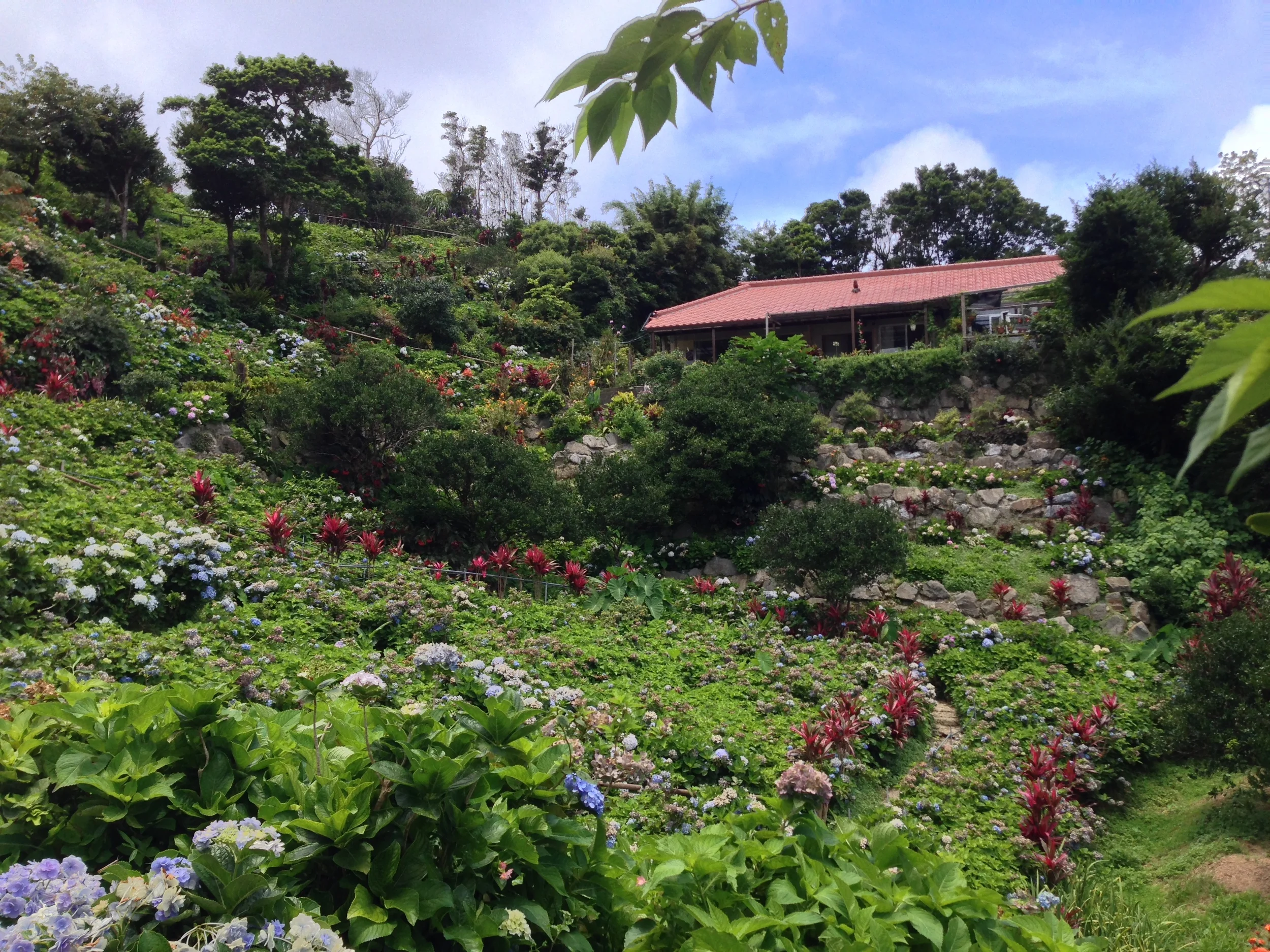 Narrow and winding paths of enchantment