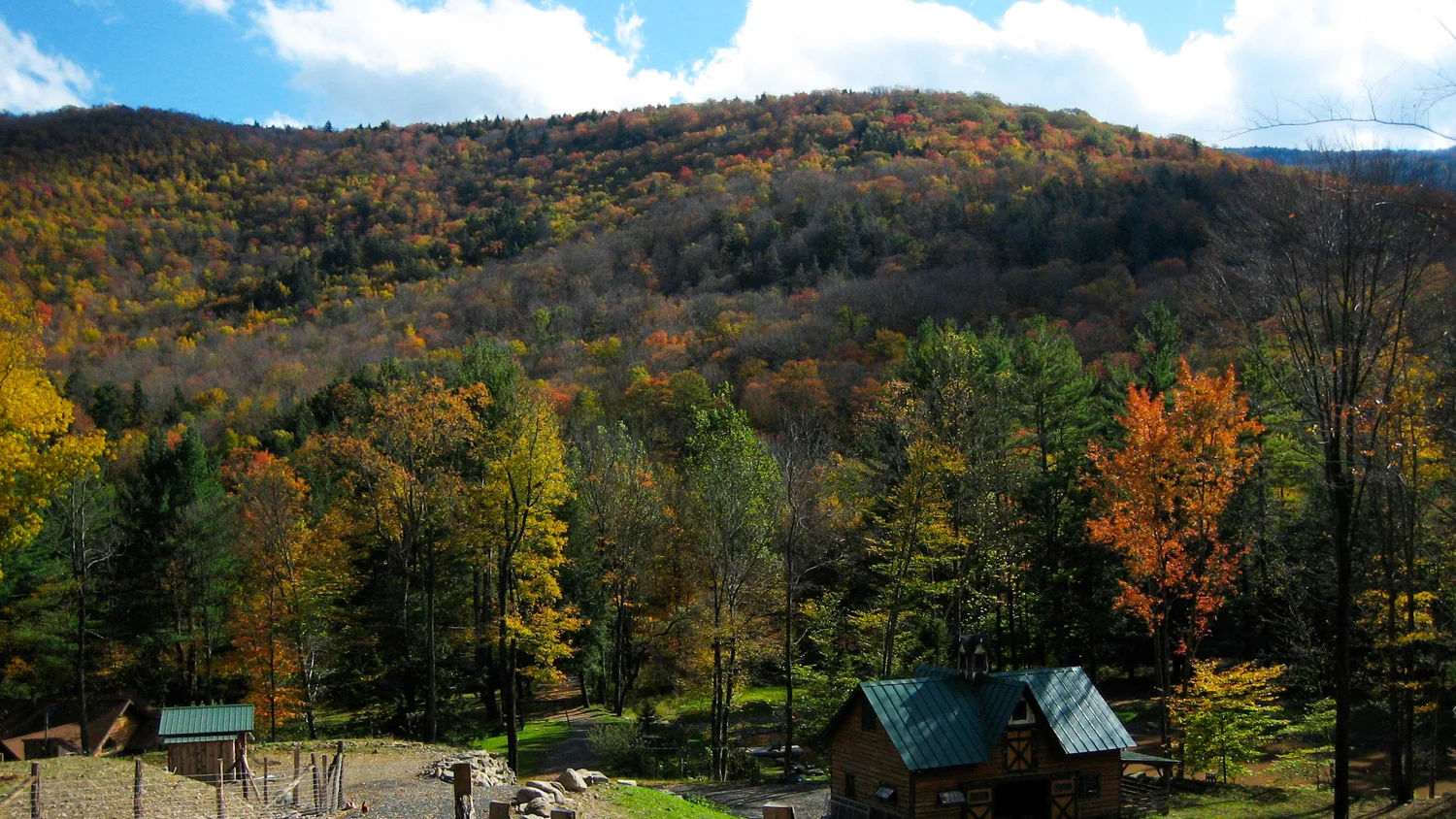 AUTUMN