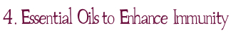 EOs1.jpeg