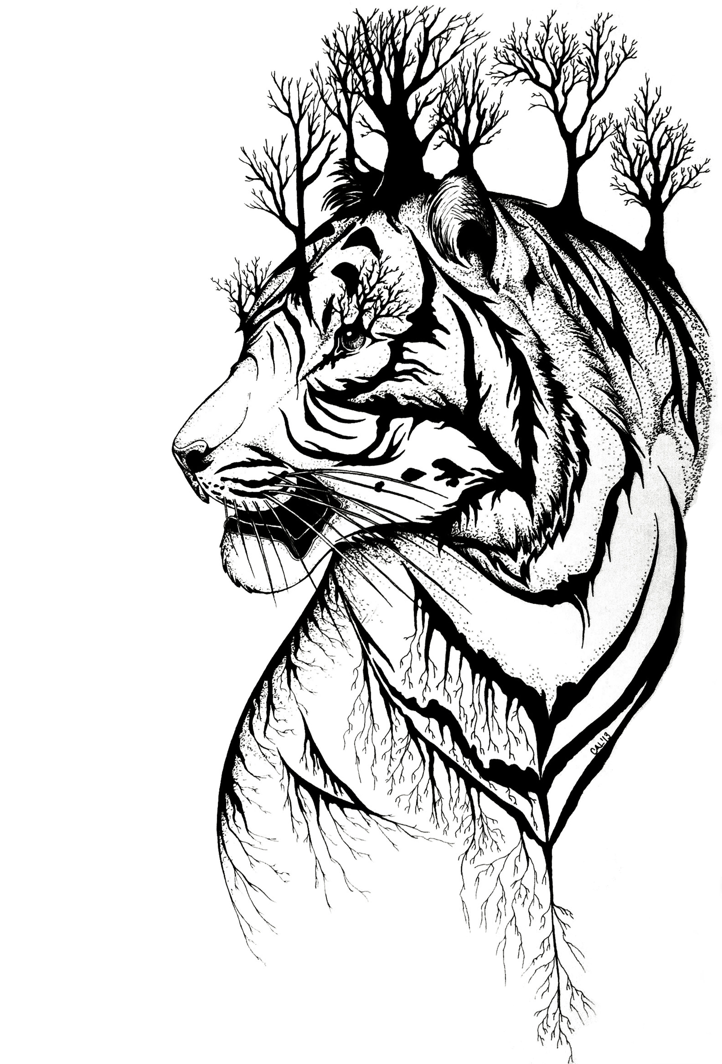 tiger trees.jpg