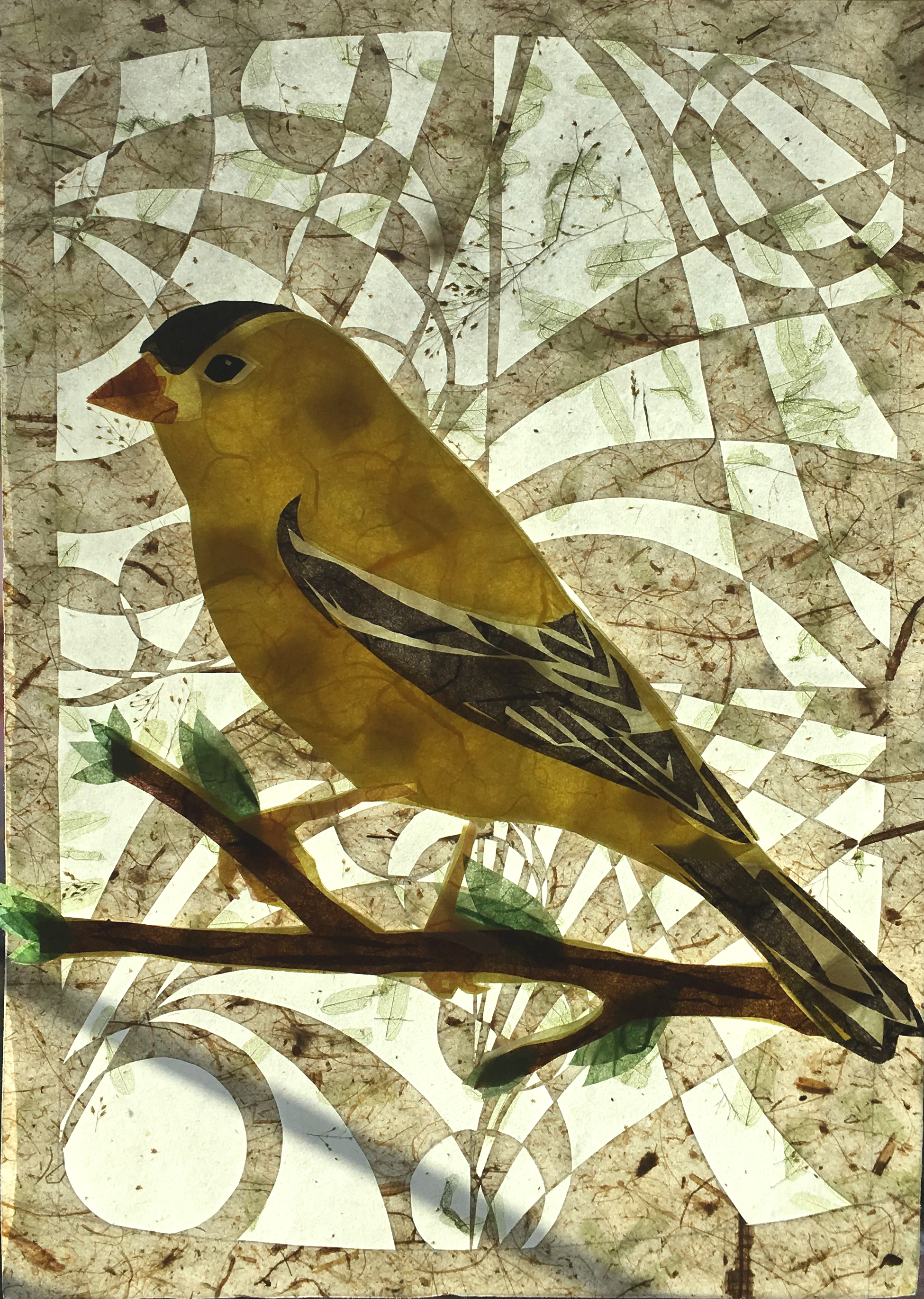 goldfinch paper.jpg