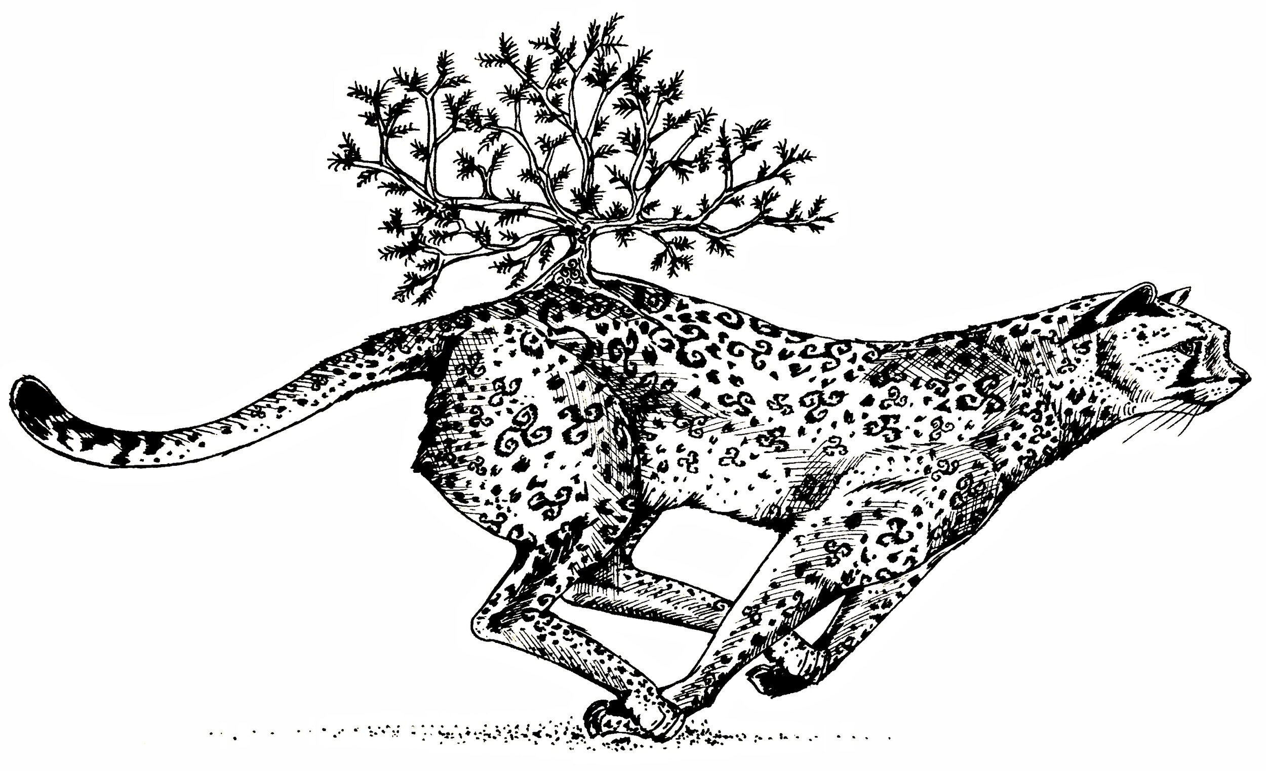 cheetah+tree.jpg