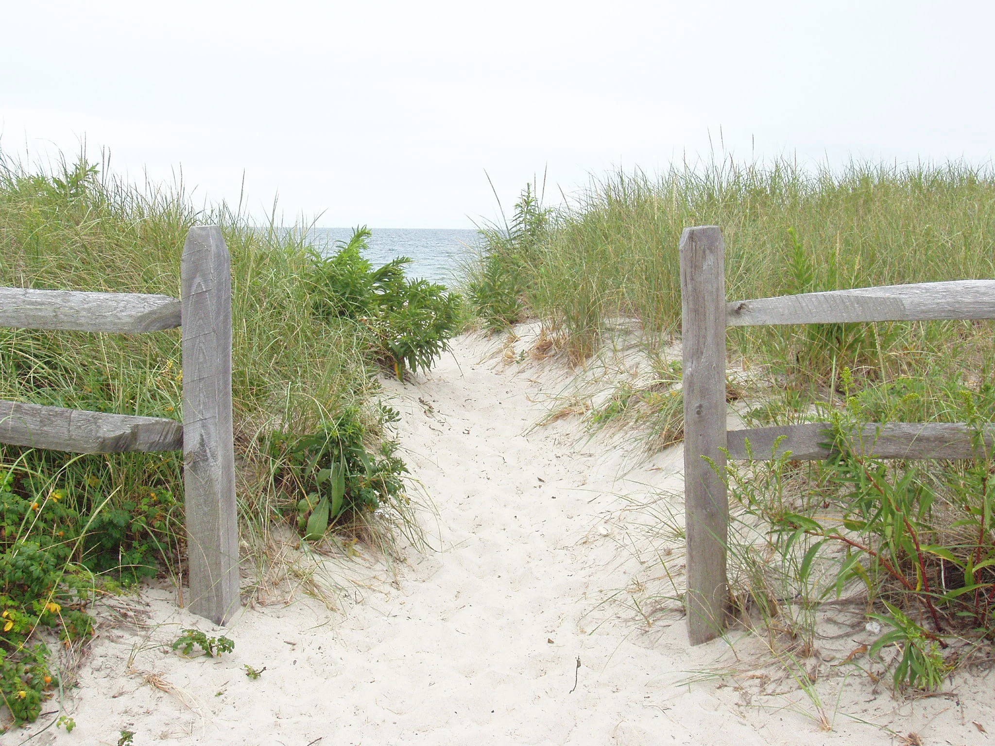 BeachPath©2008JessicaKraiseSmith.jpg