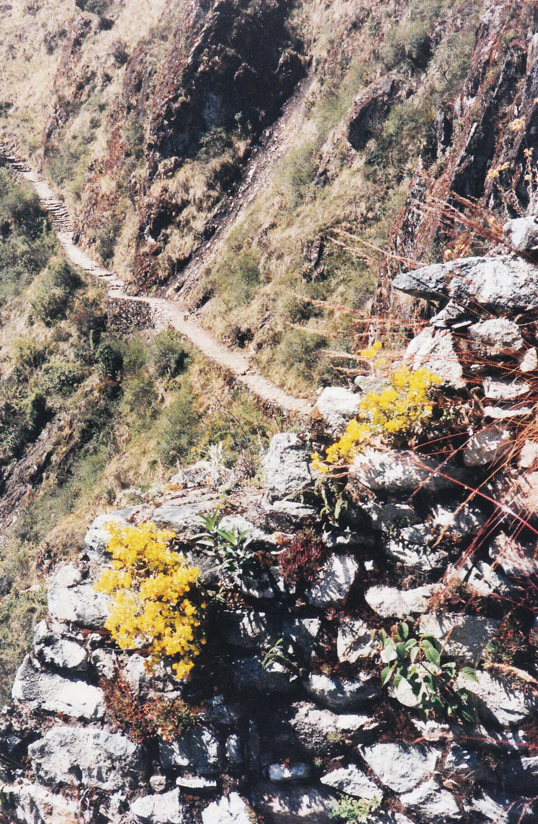 peru23.jpg