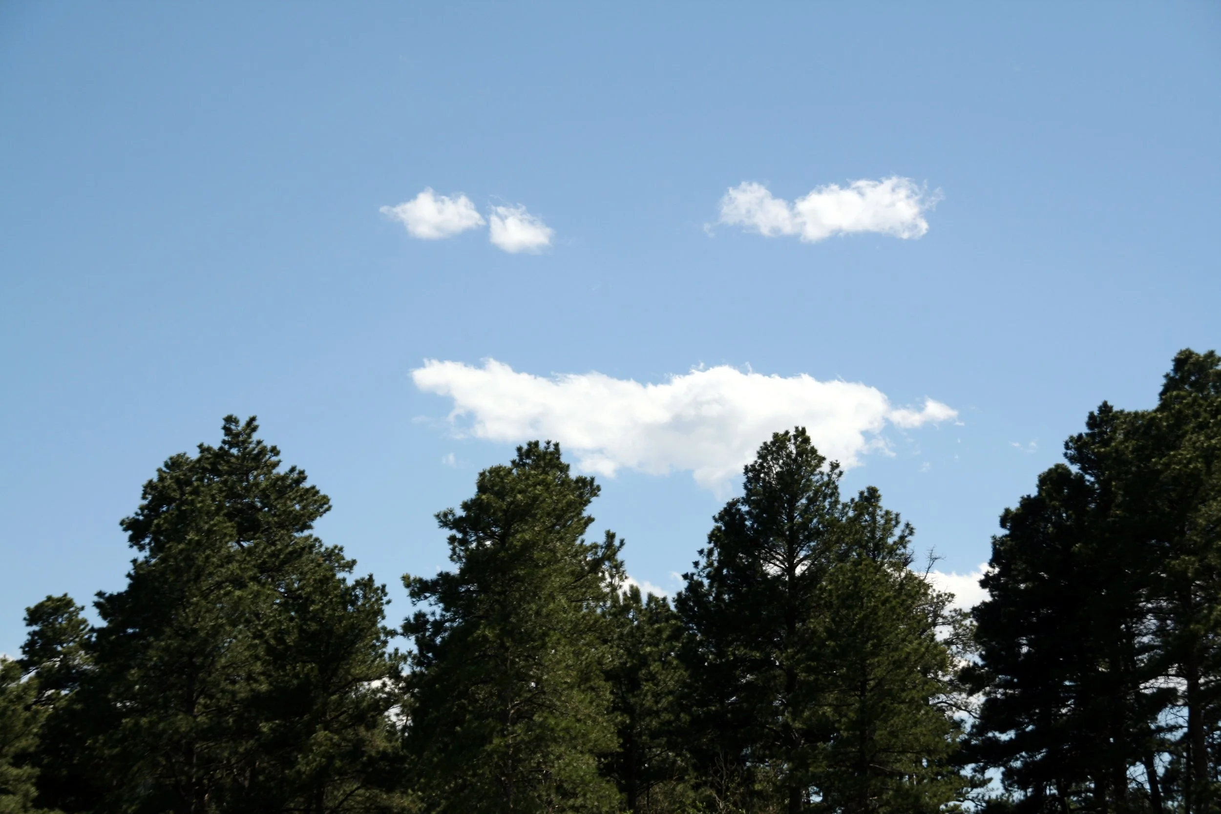 IMG_7795.JPG