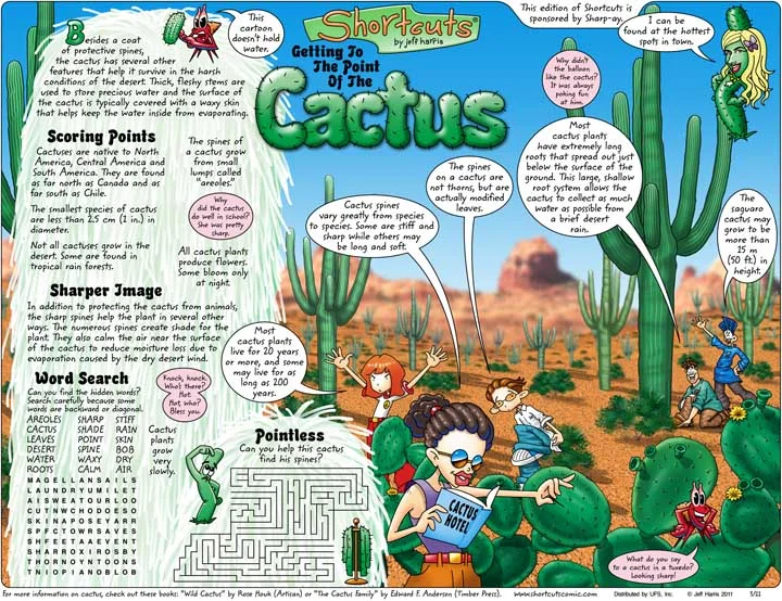 Cactus2.jpg