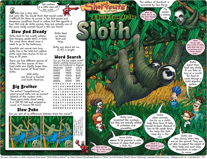 Sloth2.jpg