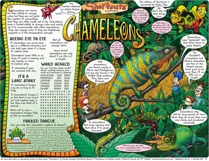 Chameleons2.jpg