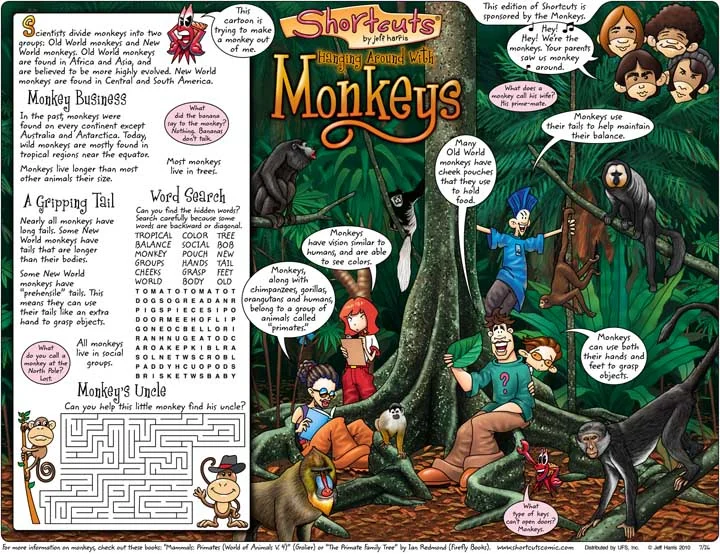 Monkey2.jpg