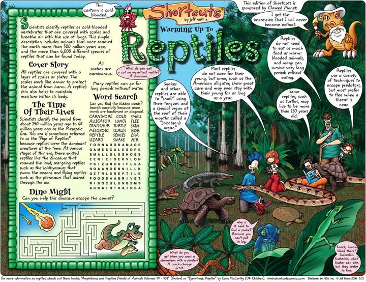 Reptile2.jpg