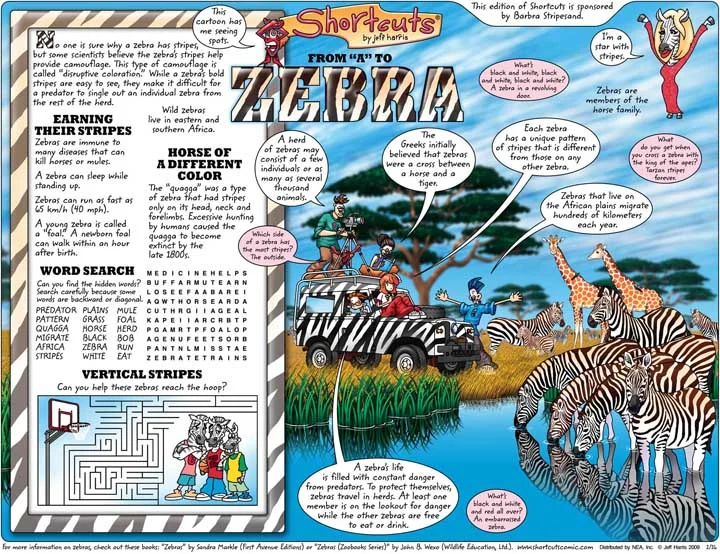 Zebra2.jpg