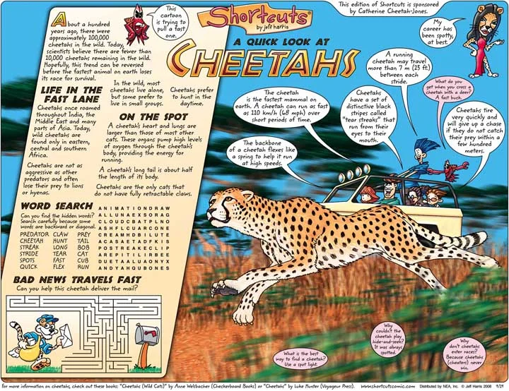 Cheetah2.jpg