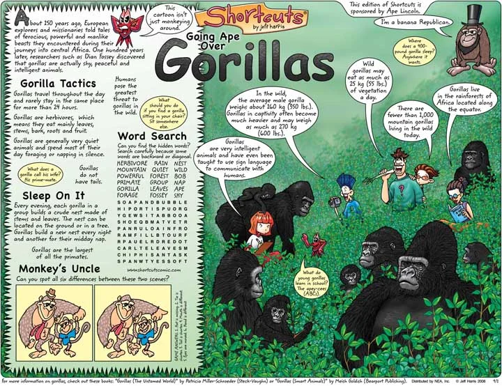 Gorilla2.jpg